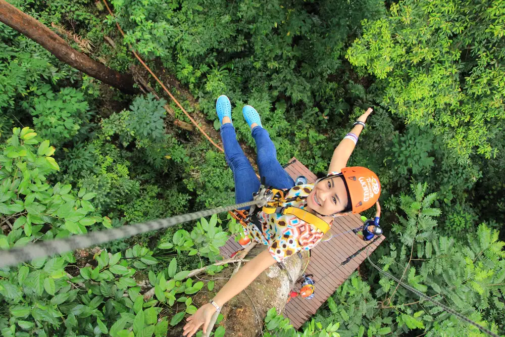 Tree climbing Vosges