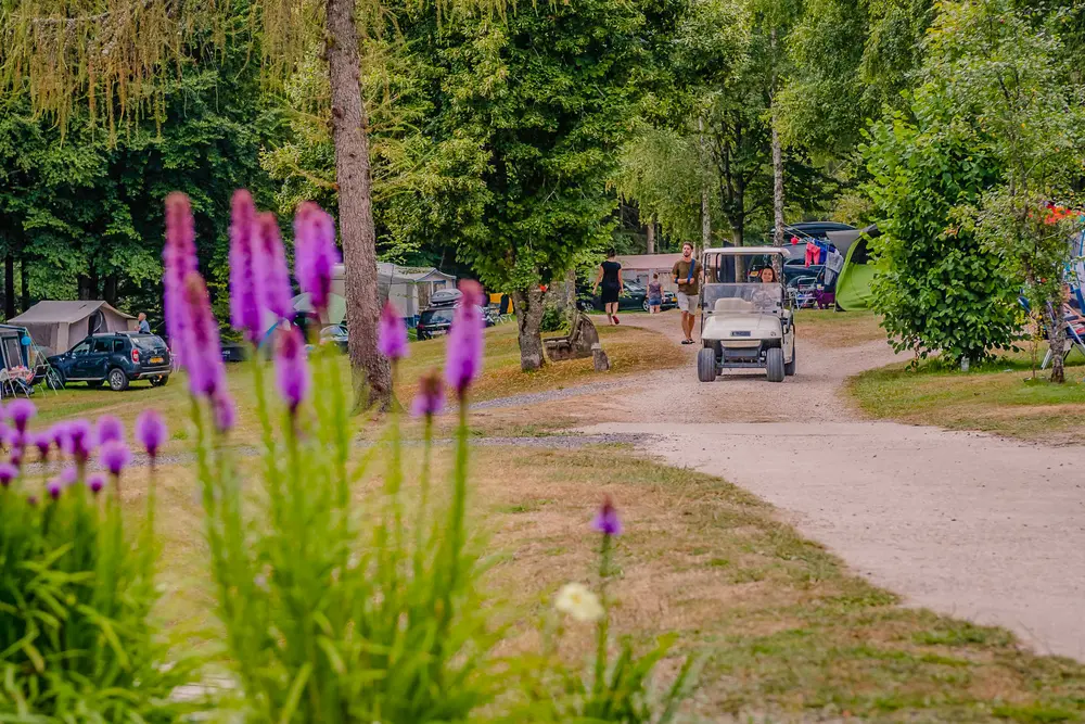 Family campsite Vosges