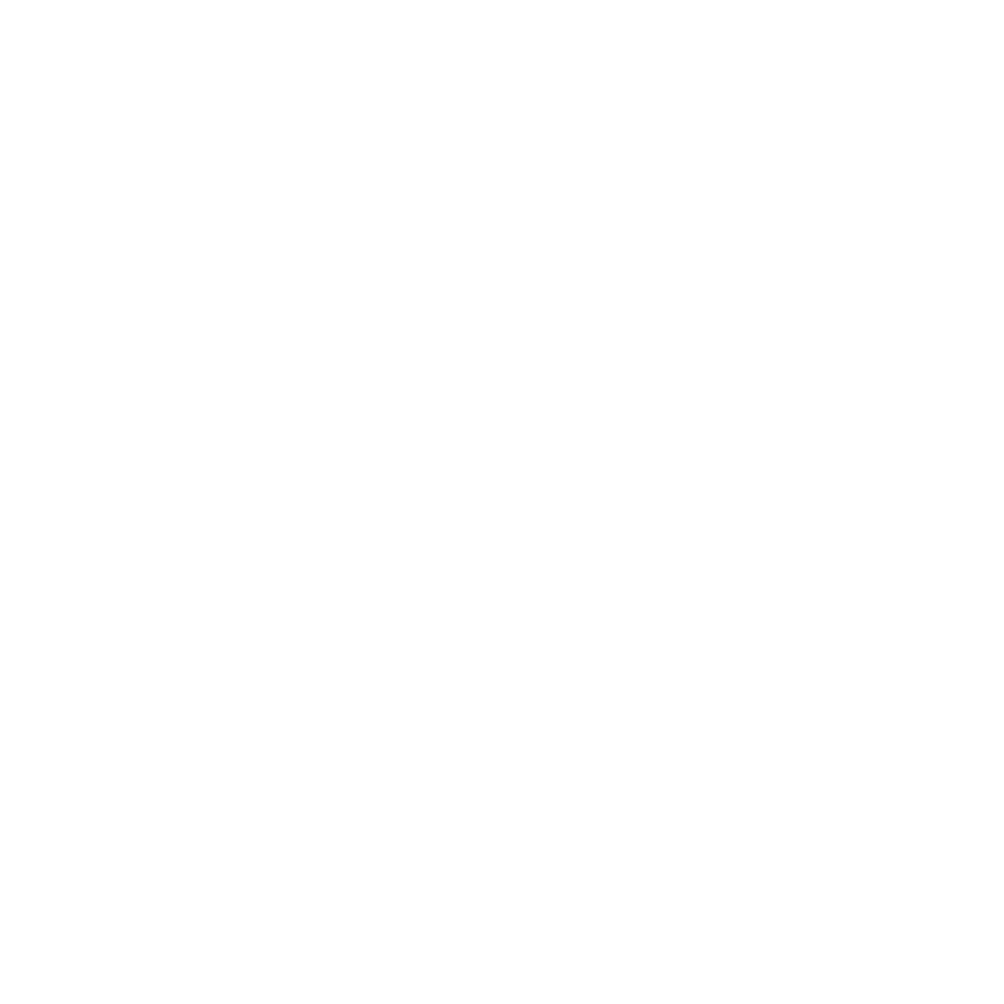 cropped logo steniole blanc transparent.png