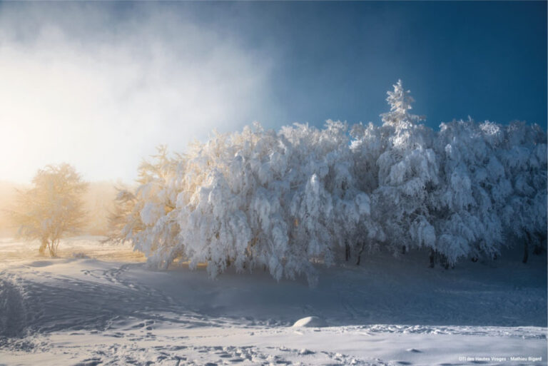 location vacances hiver vosges